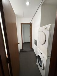 The Balmoral Spring (D10), Apartment #525113421